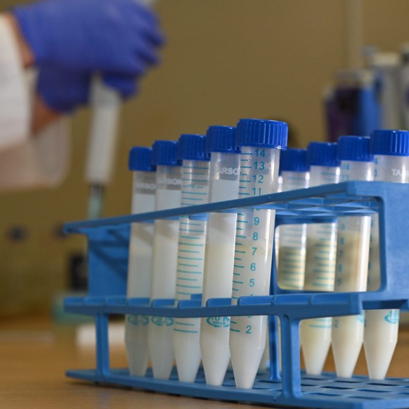 Milk samples in a laboratory